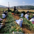 송악읍 행정지원센터 이미지