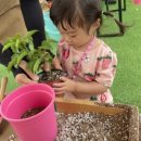 하비스트키즈풀빌라 이미지