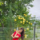 꽃이랑나무랑 이미지