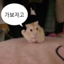 [22w] 조금씩 여기저기 다녔던 시간