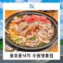 (주)홈플러스 영통점 | 영통역맛집 용호동낙지 홈플러스영통점 방문후기
