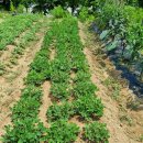 휴네스트펜션 이미지