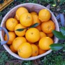 태연1농장 이미지