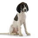 양산동물메디컬센터 이미지