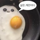 횡성댁