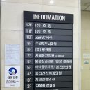 버터업잉글리쉬컨설팅 | 잠실새내 미용실 추천 “차홍룸 잠실점” 레이어드 컷 + 뿌리 매직 솔직 후기 💈💇‍♀️ (김두현 디자이너)