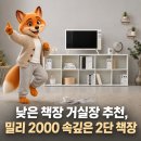 낮은 책장 거실장 추천, 밀리 2000 속깊은 2단 책장 수납력 후기