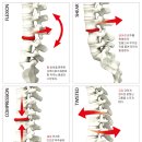 몸의 기둥_ 건강한 척추를 위한 현명한 방법 이미지
