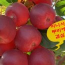 에스포트(주)