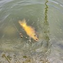 은성낚시공원 이미지