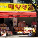 태양청과 이미지