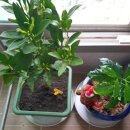 일호농장 이미지