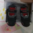 플라잉독 이미지