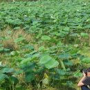 푸르른 농장 이미지