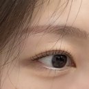 안양 평촌역 속눈썹펌 잘하는곳 미보리 스튜디오 내돈내산 후기~~