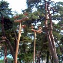 진또배기 이미지