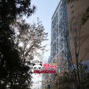 한일베라체공인중개사사무소 이미지