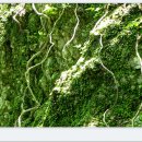 땅끝천년숲옛길 이미지