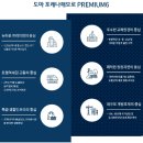 도마네거리 이미지