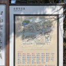 수향식당 | [아량장원병 阿梁状元饼] 상하이 / 주가각 수향마을 관광 후에 들린 식당 (주가각 후기 포함)