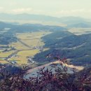 용암리경로당 | (영광 - 군유산) 풀숲 우거진 능선길, 군유정을 가다.