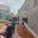 (주)파라다이스 도고지점 수영장 | 서울 근교 온천 워터파크 실내 수영장 아산 파라다이스 스파 도고