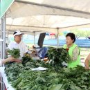 보물세상 이미지