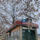 선덕여고앞 이미지