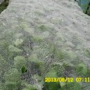 우리농장 이미지