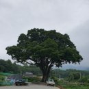 소산원주 이미지
