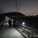 태양조명 이미지