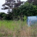 원스농장 이미지