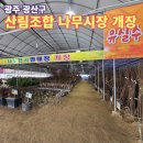 산림조합중앙회 광주전남지역본부(4종) | 광주 광산구 산림조합 광주전남지역본부 나무전시판매장(광주 나무시장) 개장