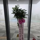 기린 캠프랜드 이미지