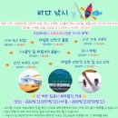 파라다이스투어 - 남구 왕생로86번길 13 | 코타키나발루 반딧불 투어 추천｜반딧불이 배 안까지 들어온 파라다이스 뚜아이 반딧불 투어 솔직 후기