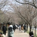 황구지천 이미지