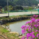 내린천민박 이미지