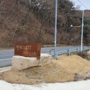 한티1477