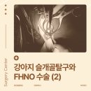 녹번동물병원 이미지