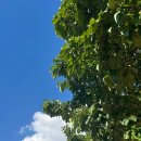 생활요리야간 이미지