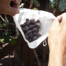 수화농장 이미지