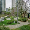 포레스트31 이미지