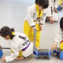 세종태왕(세종태권도왕) 이미지