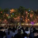 세종호수공원서 ‘2026 세종 낙화축제’ 개최 이미지