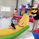 주말 우리끼리 즐길수 있는 파주 대형대관키즈카페 도란도란 내돈내산 대관후기:)