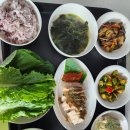 봉천] 로얄사임당 산후조리원 봉천점 2주 리얼 후기 (신생아 케어, 마사지 맛집, 식사 ), 내돈내산...