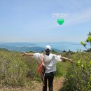 보성강4 | 보성 일림산 철쭉 산행 다녀온 후기 (등산코스 및 철쭉시기 총정리)