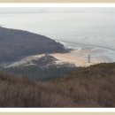 M마트 이미지