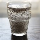 씨드요가 이미지