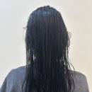 에이치뮤즈 이미지